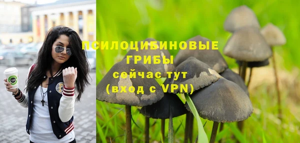 молекула духа Абаза