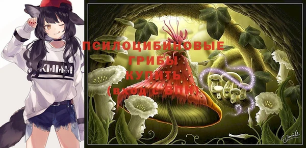 МДПВ Абдулино