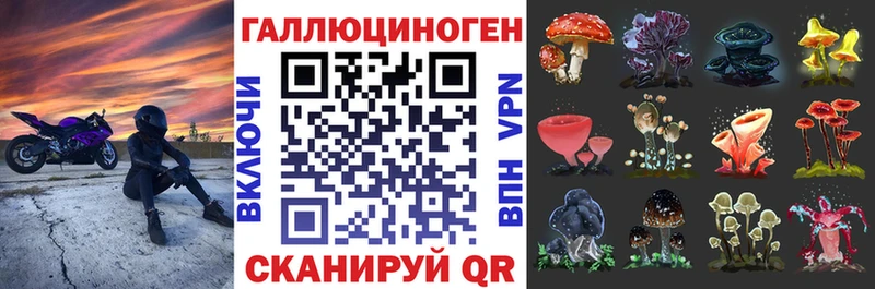 купить наркотик  Верхоянск  Галлюциногенные грибы мухоморы 
